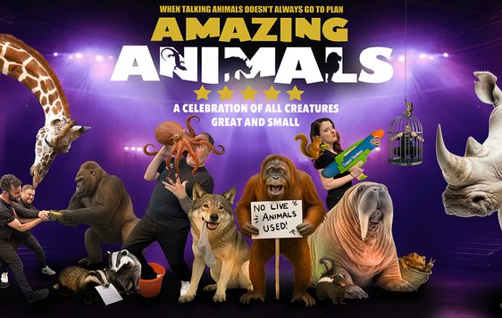 Amazing 			Animals