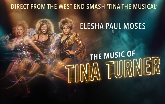 The 			Music 			of 			Tina 			Turner